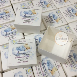 Cardboad Baby Boy Box